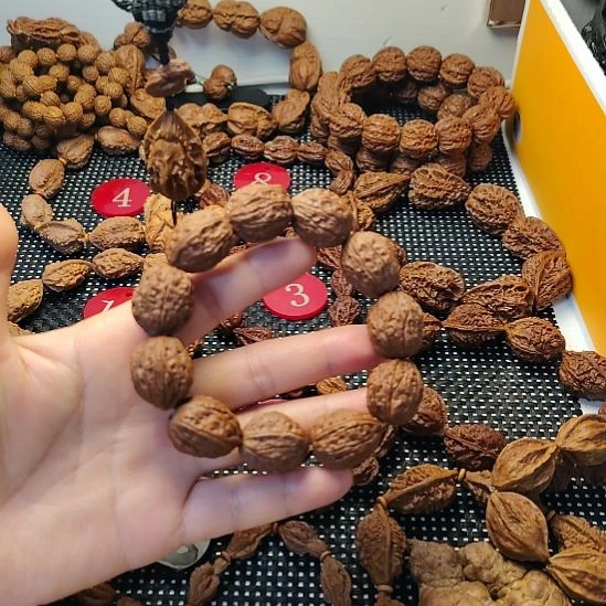 吊坠文玩核桃波波1大枣