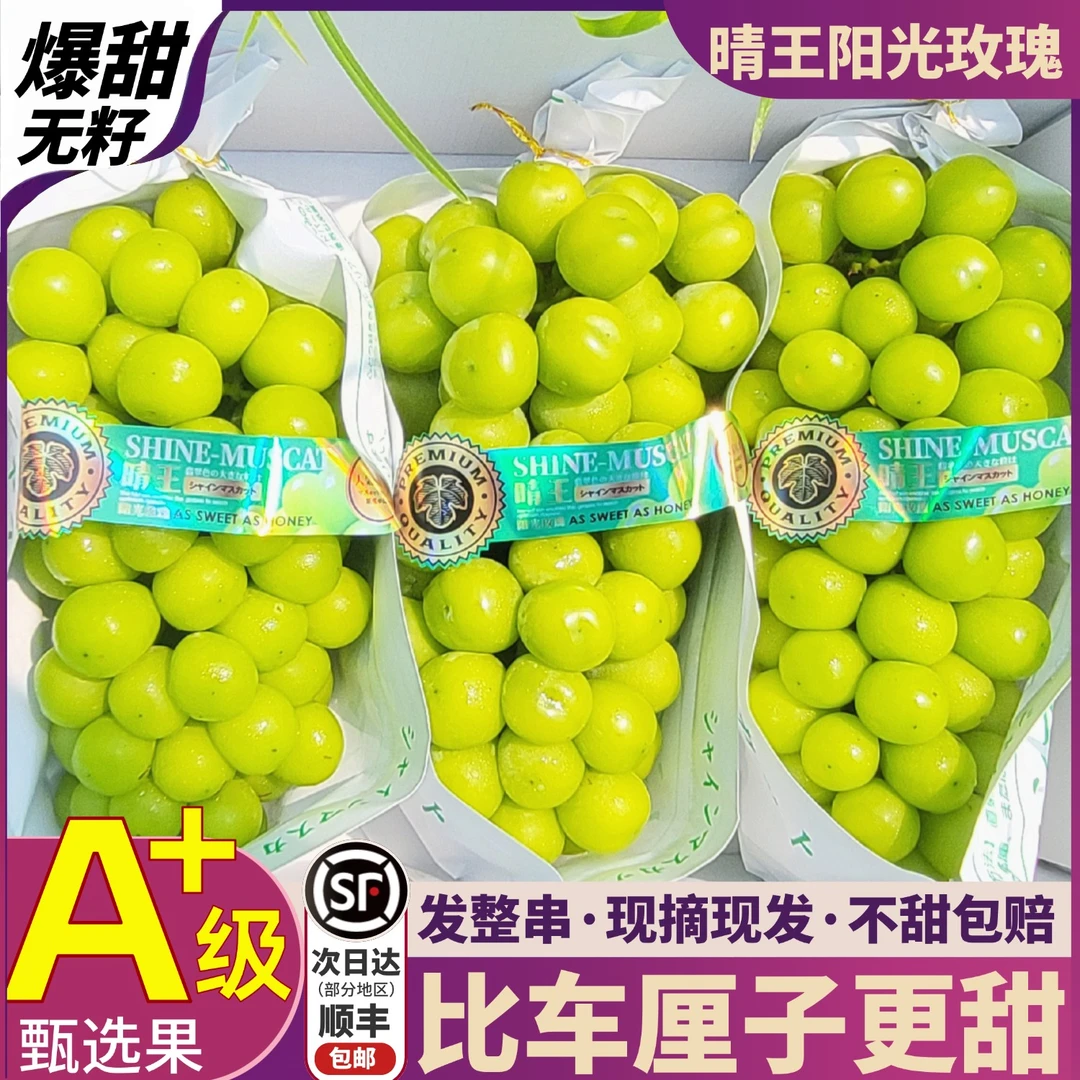 顺丰次日达5斤大果整箱精品阳光玫瑰葡萄当季新鲜现摘现发3/5斤Q