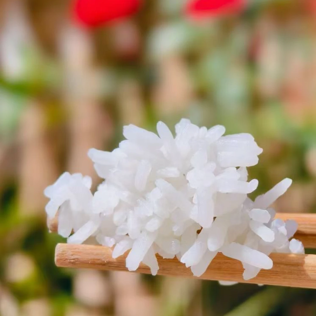 2025农家自种长粒香现磨新米煮饭清香口感软糯大米长粒香米