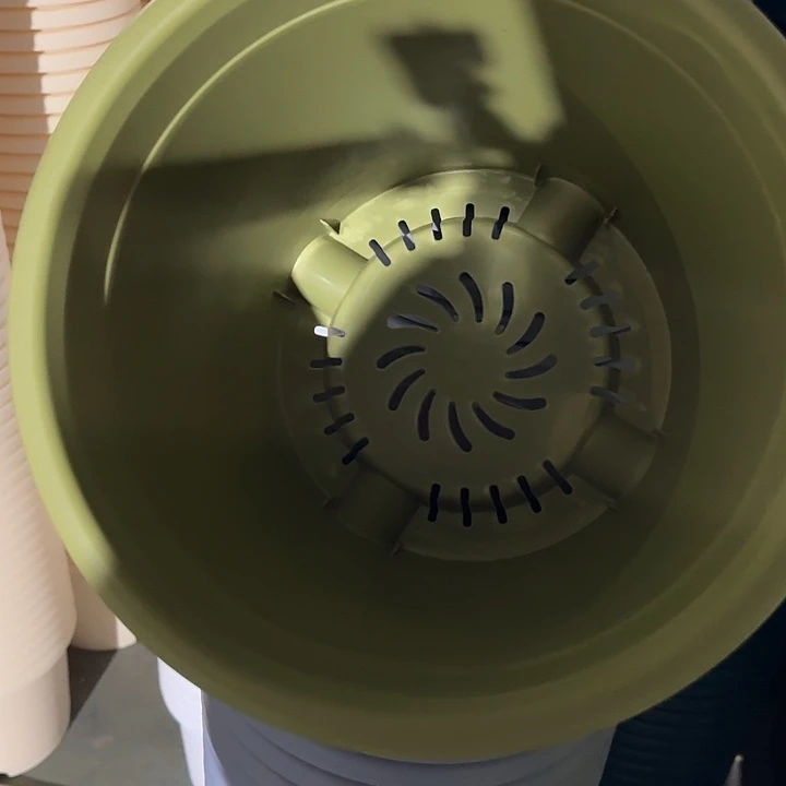 四季4号果绿无托8个特价微瑕