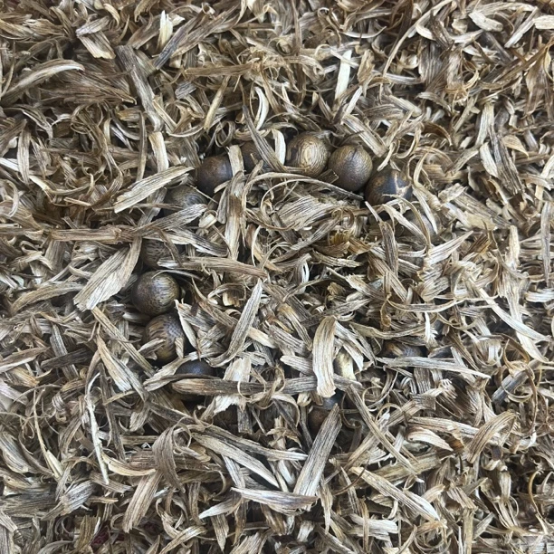 沉香文创669海南碎屑1.2单11克+