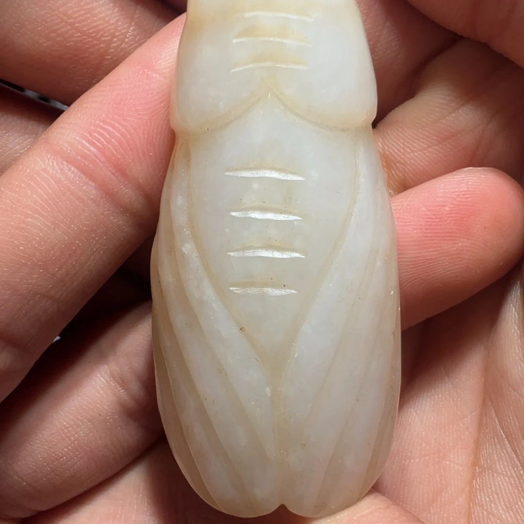 盘七天鉴赏期 一物一图