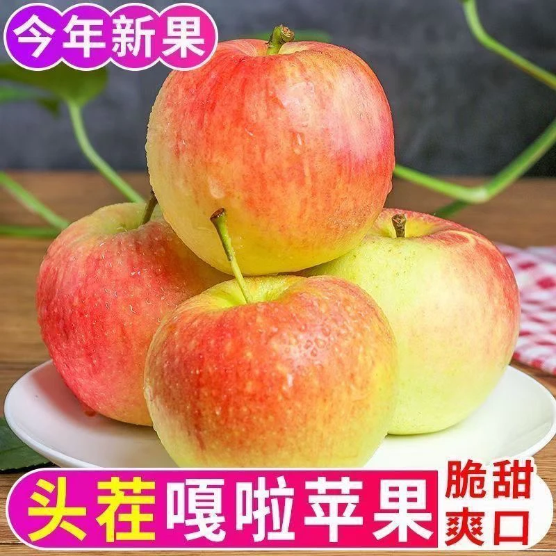 【25年苹果】新鲜苹果嘎拉苹果5斤酸甜爽口应季水果孕妇水果