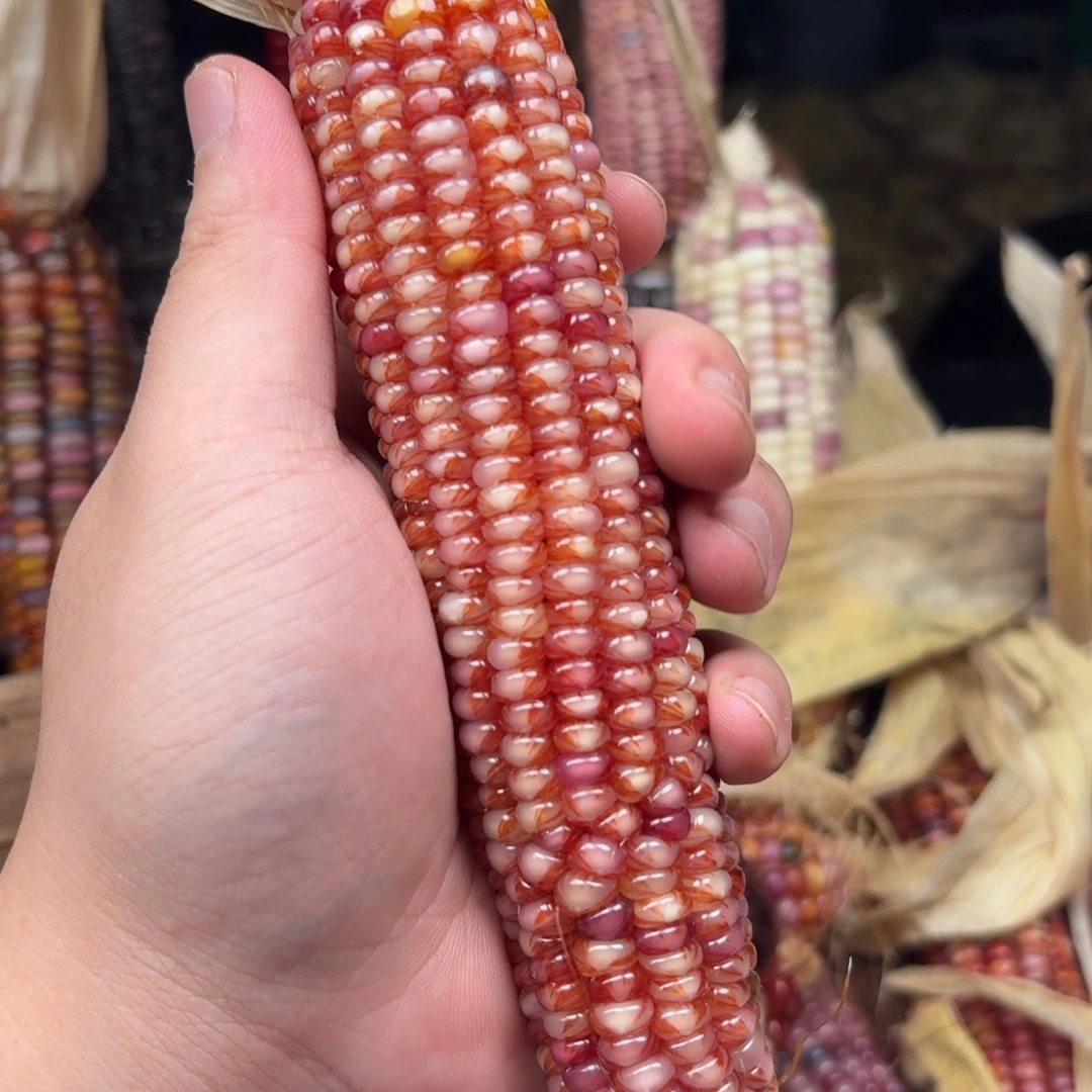 说***我吊坠柏香籽/百香籽