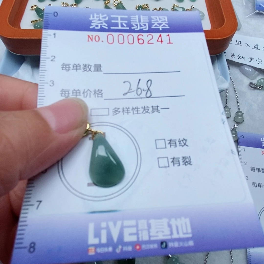颈饰未镶嵌翡翠冰透随行