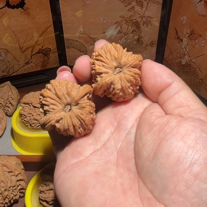 花****手串/手链核桃南疆石……