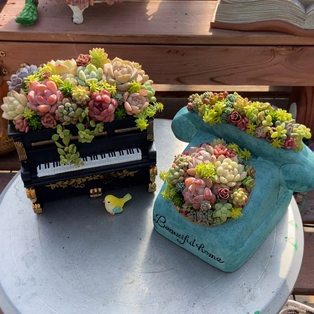 电话钢琴成品发货带植物