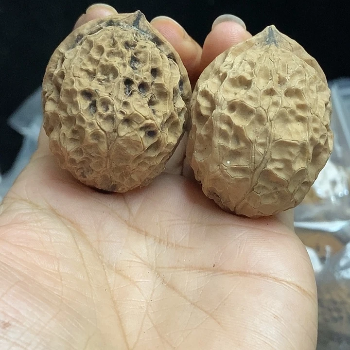 文玩核桃把件云南铁核桃基地76