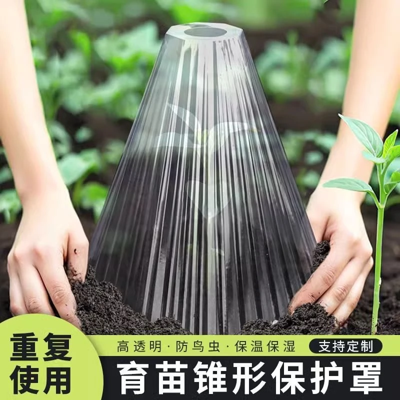 育苗保护罩透明钟罩可重复使用温室大棚免受鸟类霜冻伤害加厚保护