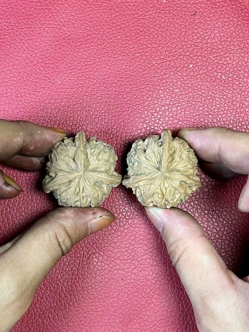 多楞元宝三棱麻核桃