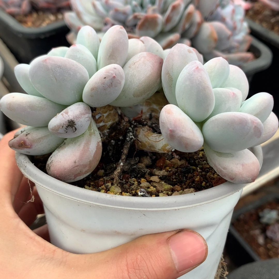 哈哈哈哈哈哈哈哈哈哈哈