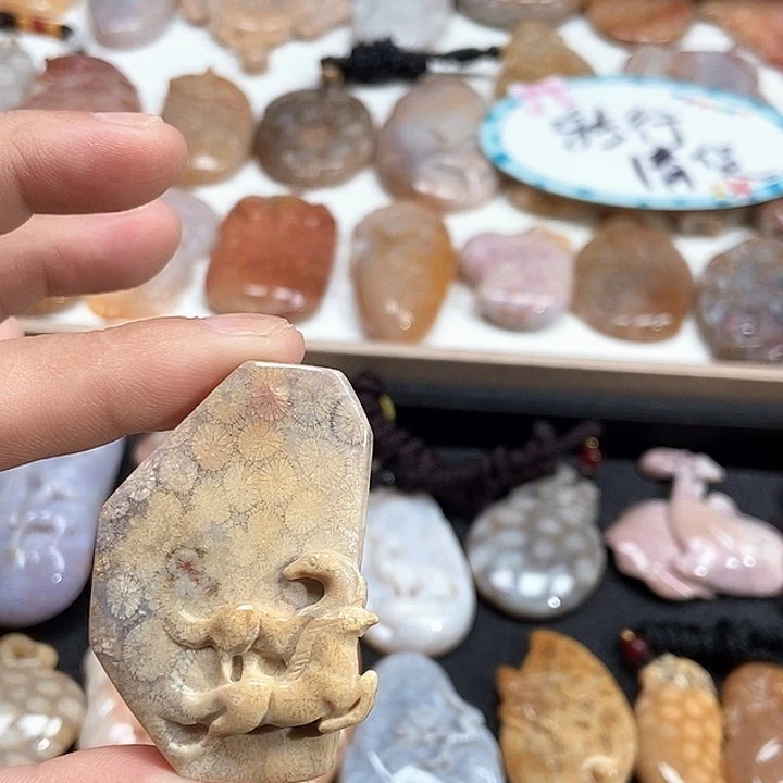 颈饰未镶嵌硅化珊瑚（珊瑚玉）