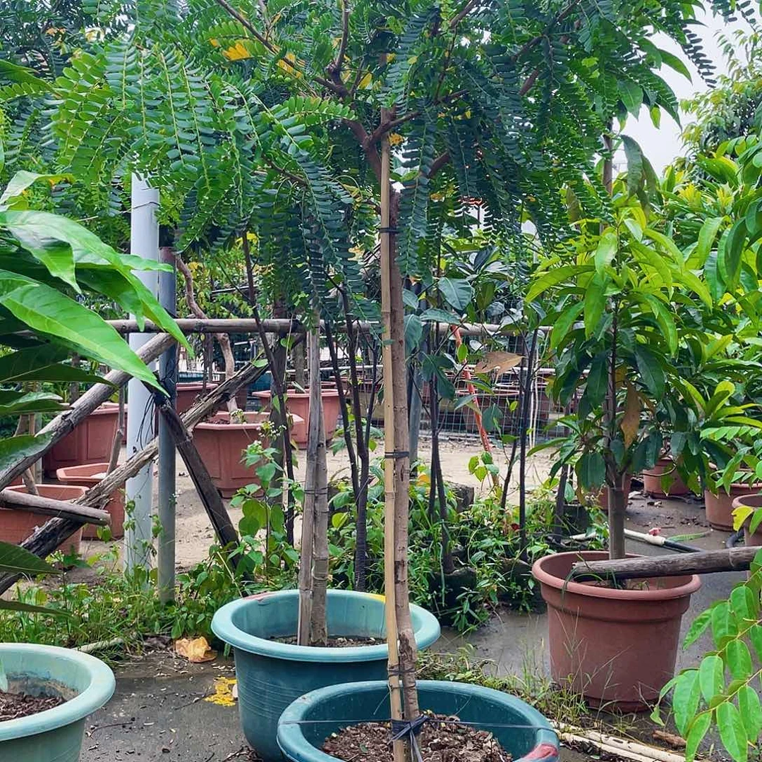 完全开放S****n11111111111