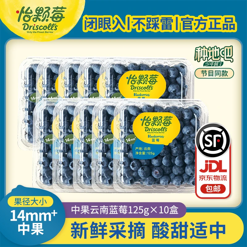【怡颗莓】云南蓝莓中果125g*10盒装 产地新鲜采摘