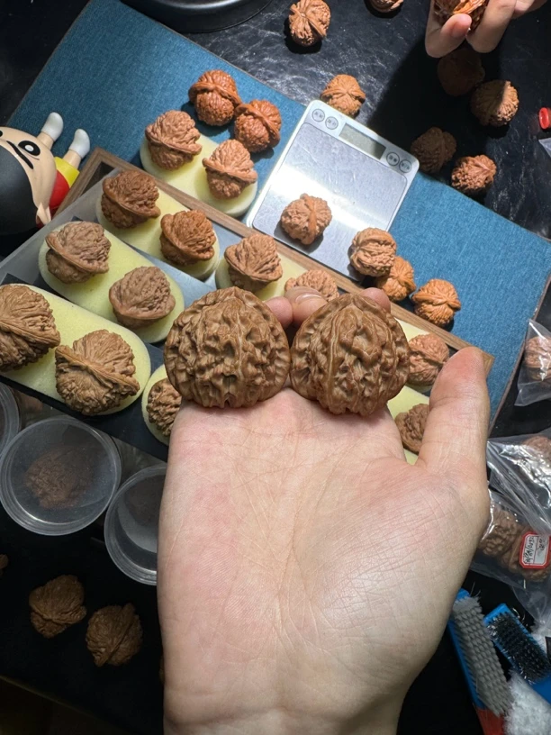 42全品三角白文玩核桃