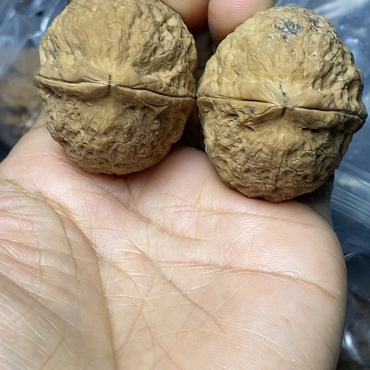 文玩核桃把件云南铁核桃18