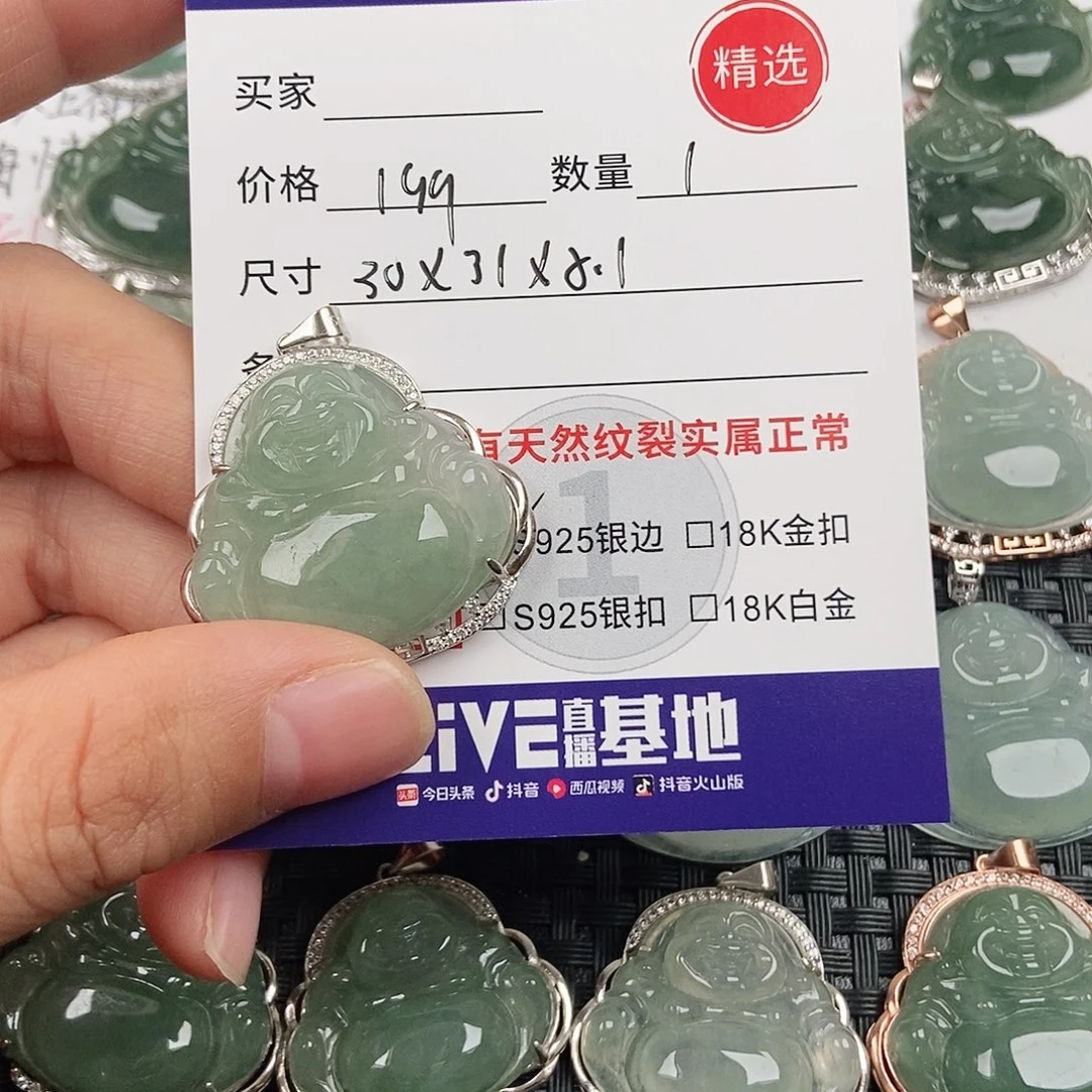 翡翠银S925镶嵌颈饰