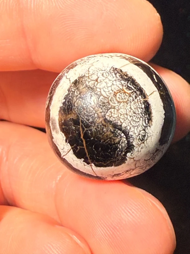 2.2尺寸精品黑白火供鬼眼