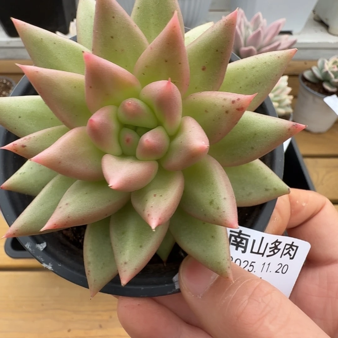 不知名111111120-47