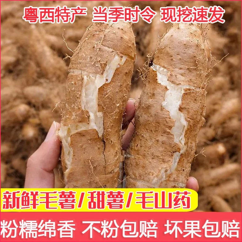 正宗广东新鲜毛薯甜薯铁棍山药淮山薯批发包邮淮山药毛山药茂名
