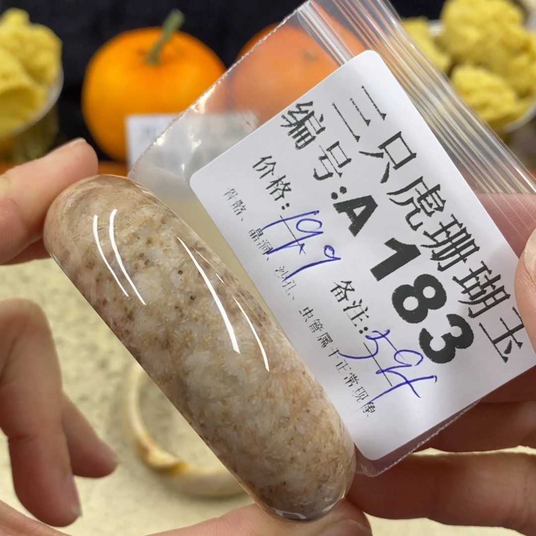 硅化珊瑚（珊瑚玉）1未镶嵌芯*