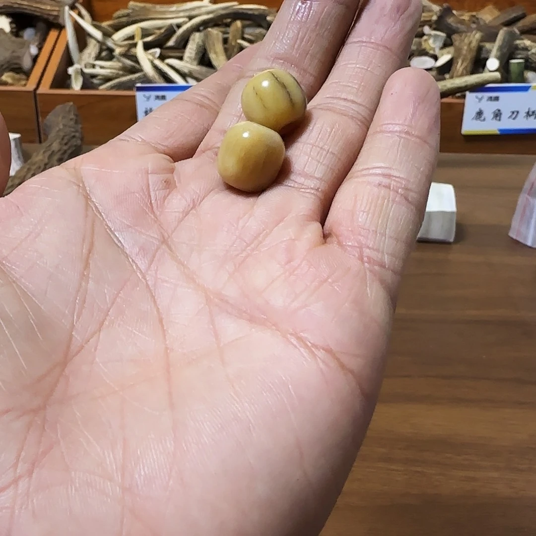 手串/手链鹿骨随机发一个3639