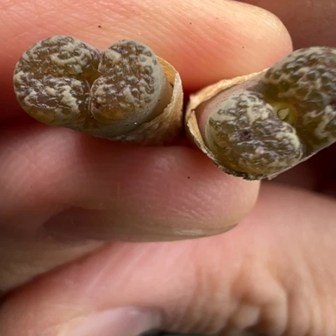 81 好看的肉肉冲冲冲冲冲冲冲冲冲冲