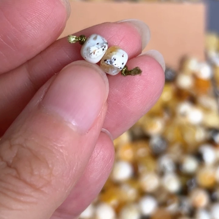 未镶嵌蜜蜡裸石6mm一对