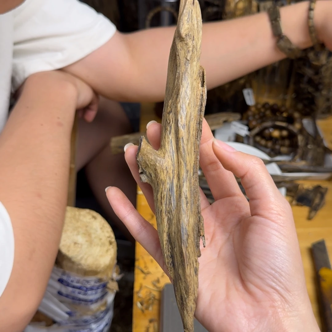 沉香沉香碎屑母树天然虫漏25克