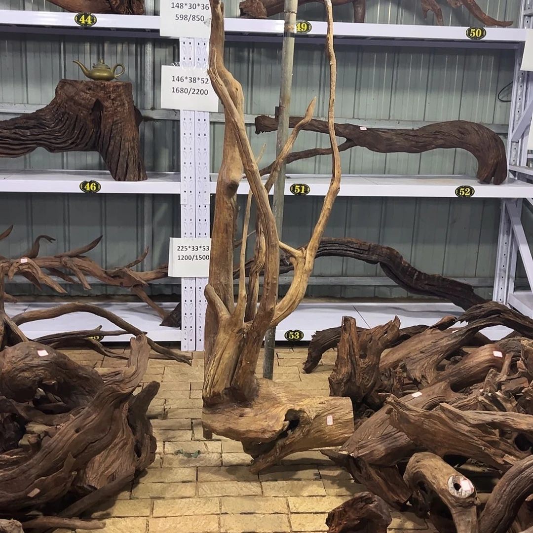 好***达紫砂紫柚木，高度落在30厘米，