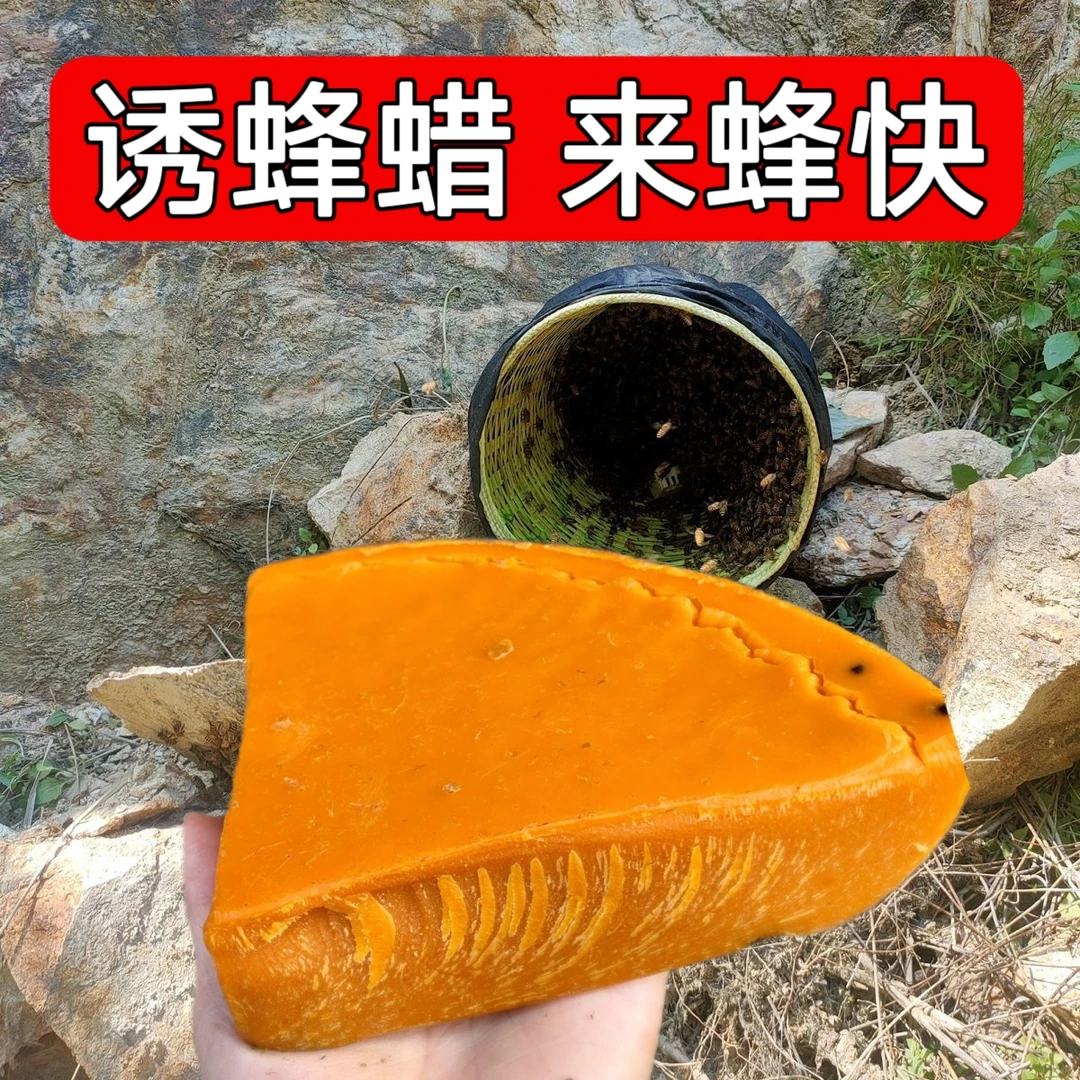 诱蜂专用蜂蜡诱蜂蜡中蜂诱蜂蜡蜂蜡诱蜂蜡老巢诱蜂蜡诱蜂蜡诱蜂