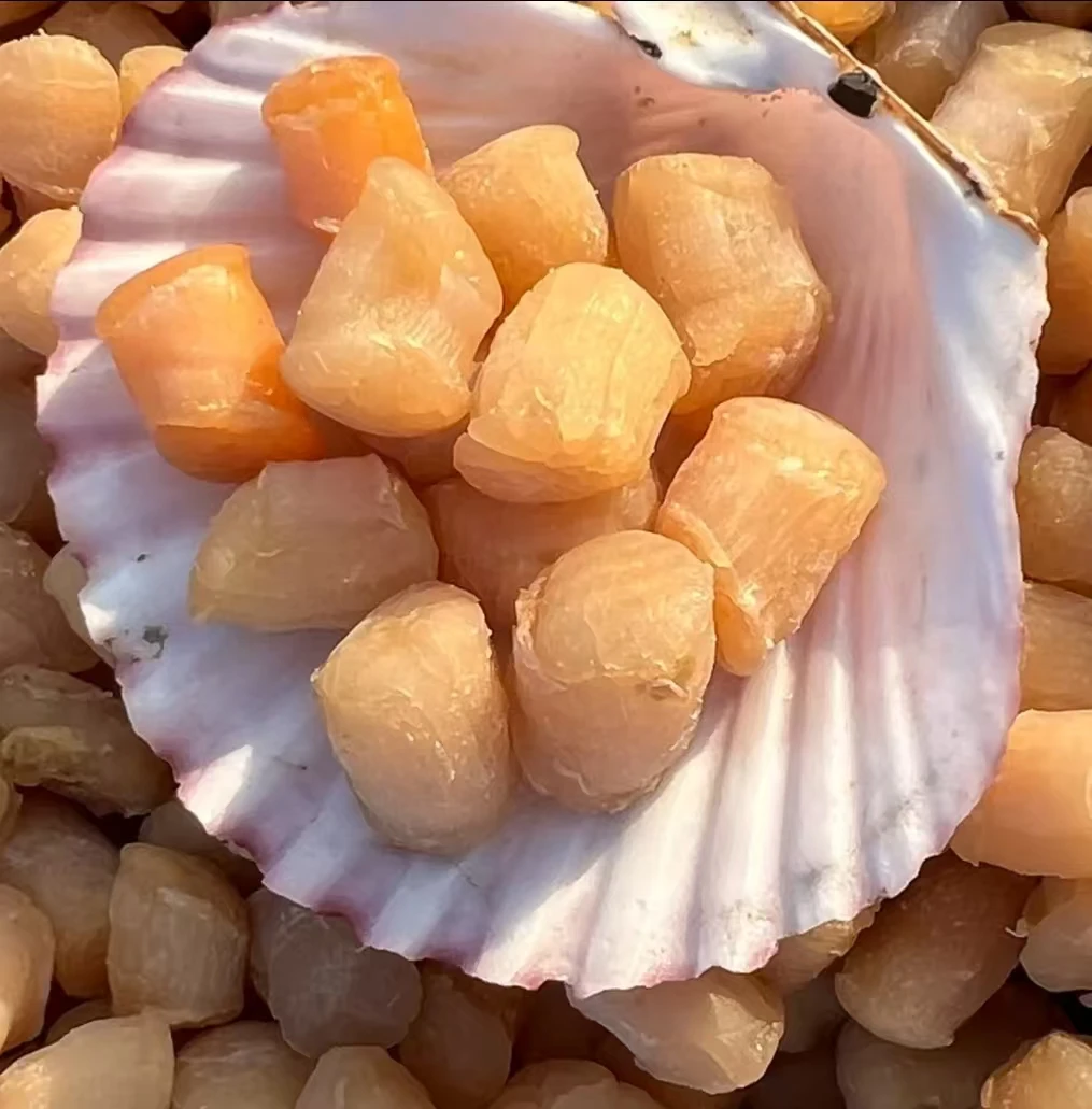 当季新晒九成干干贝瑶柱煲汤煮粥提鲜无添加干贝元贝提鲜味美