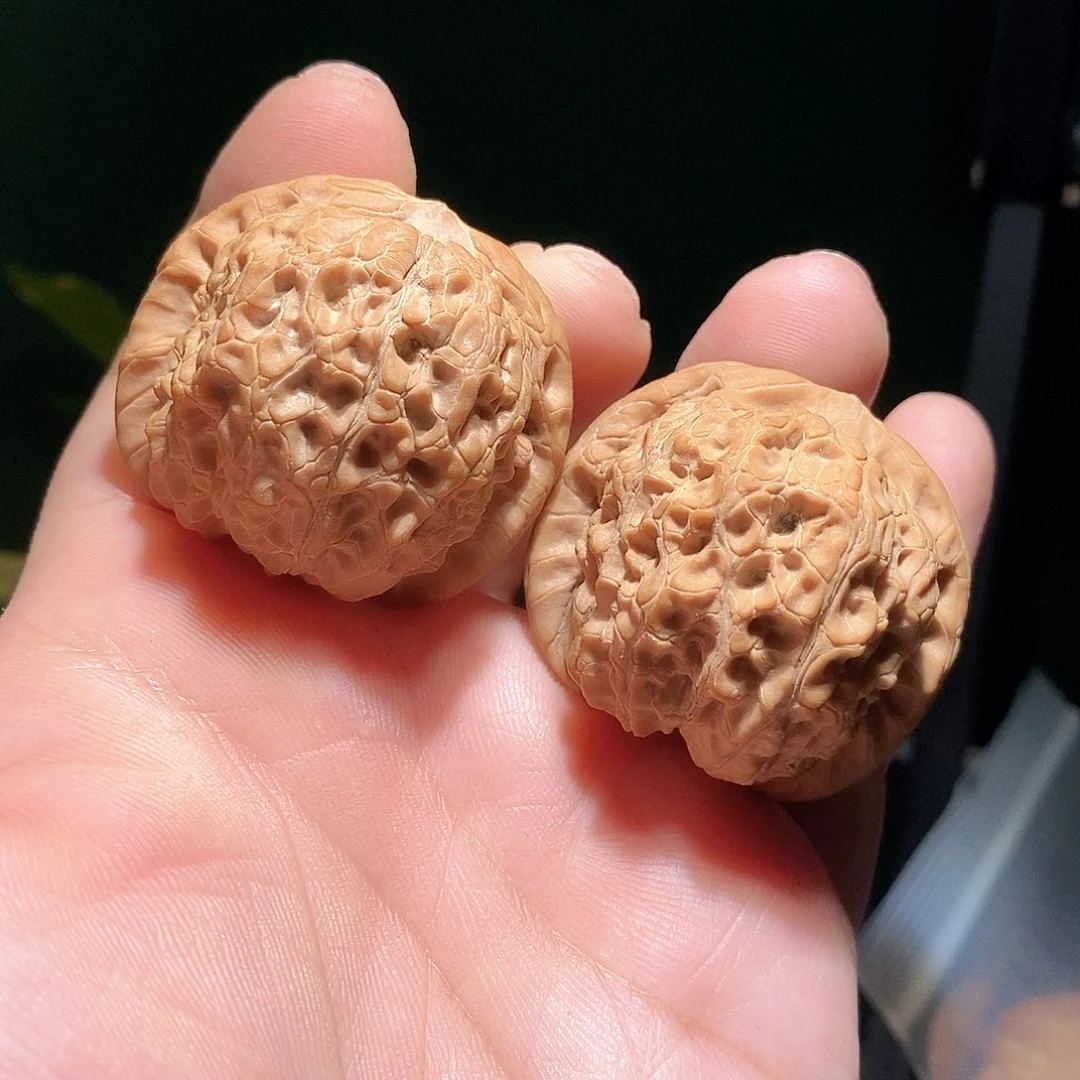 把件文玩核桃40血麒麟全品