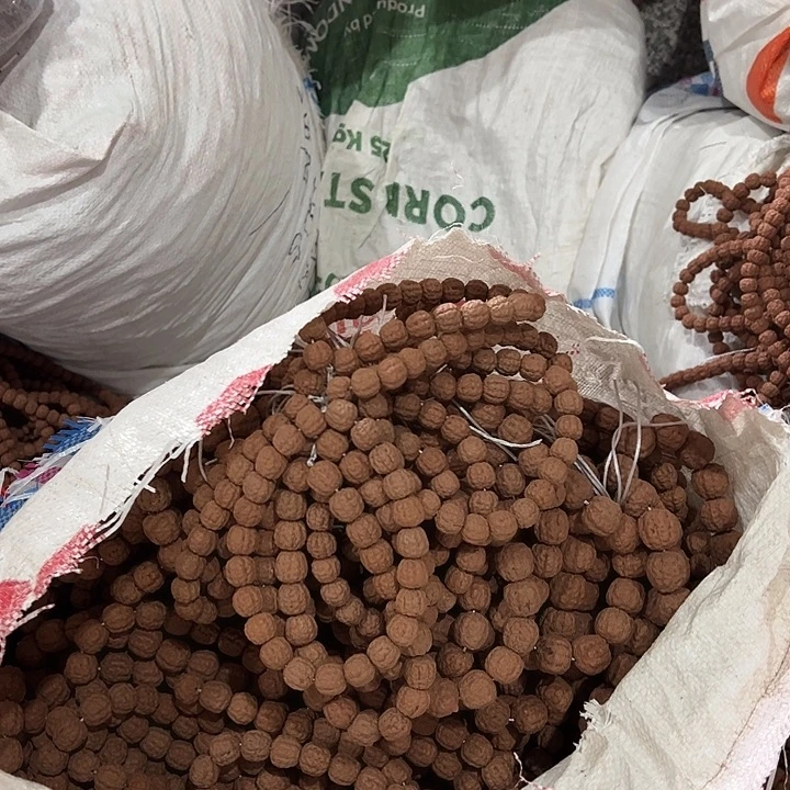 金刚菩提手串碧根果10条尺寸随机