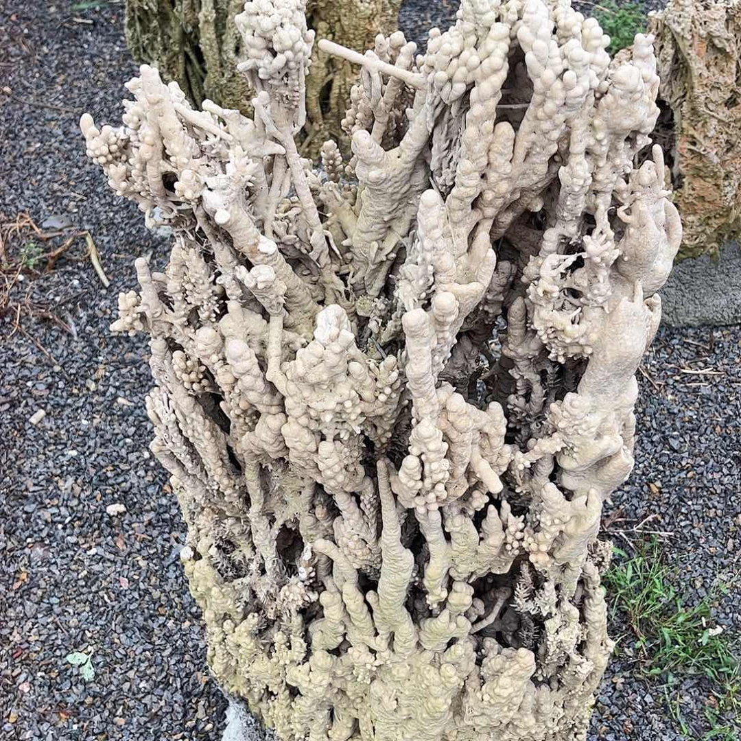 完全开放吸水石上水石加湿器