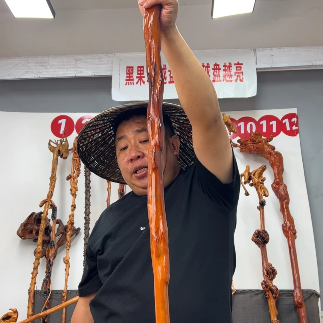 赤***鹰黑果木其他黑果木369