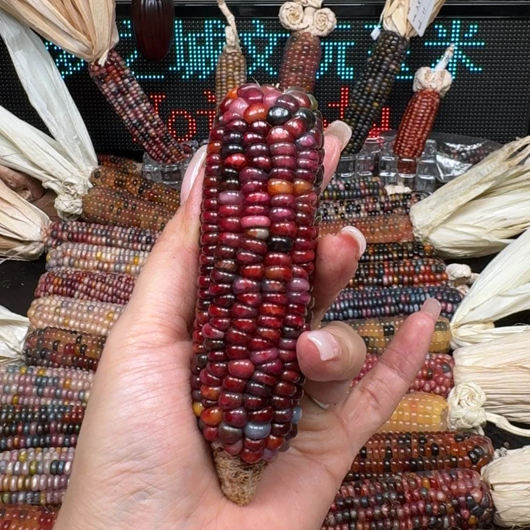 柏香籽/百香籽吊坠?***面