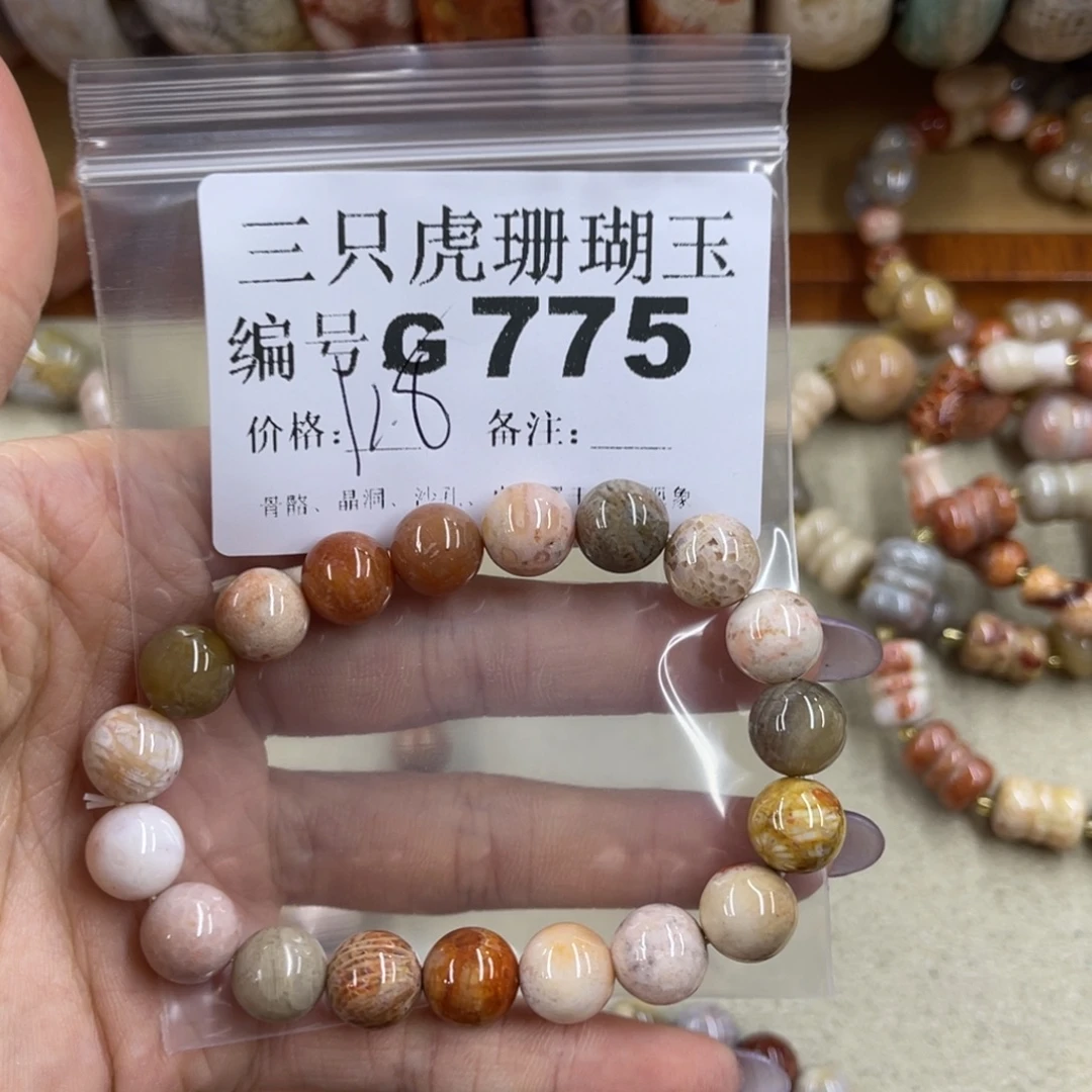 哆***苏硅化珊瑚（珊瑚玉）未镶嵌h