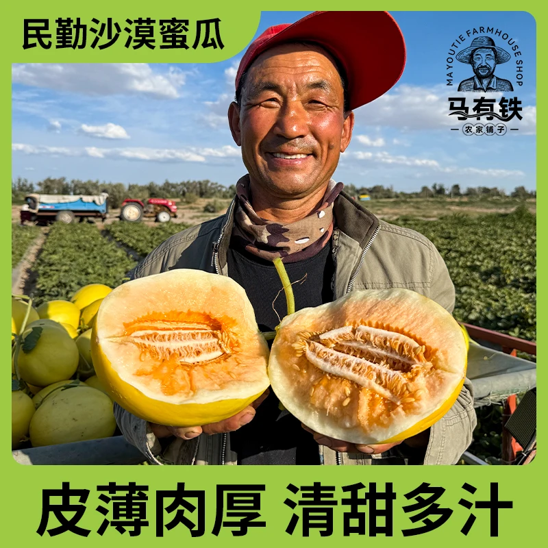 【顺丰京东】甘肃民勤蜜瓜金红宝蜜瓜4-9斤装香甜多汁