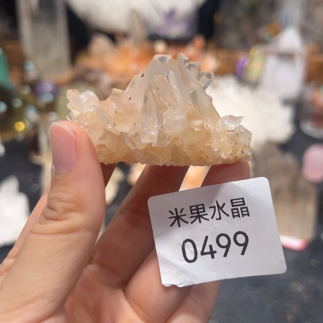 S***貝未镶嵌珠宝半成品水晶