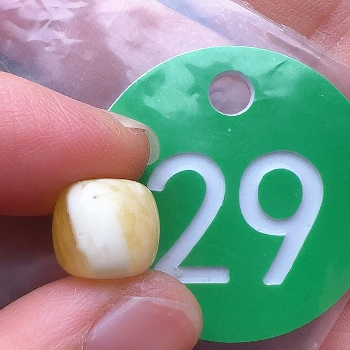 蜜蜡裸石未镶嵌花粉10.6m m