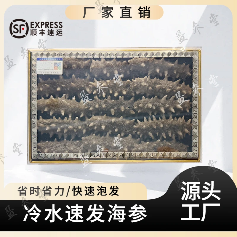 特大号自己吃三大盒《国标干参》免煮速发海参 无礼盒 带试吃一支