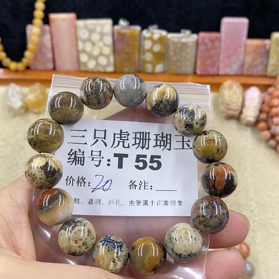 硅化珊瑚（珊瑚玉）1未镶嵌树****鼠