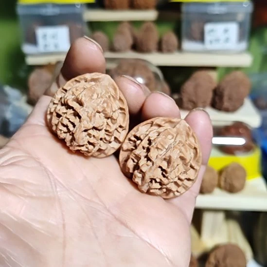 36加尺寸，苹果园狮子头