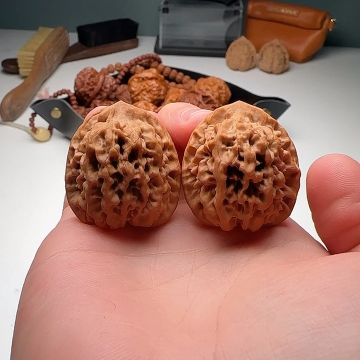 32-32-34一代秦闷C21号