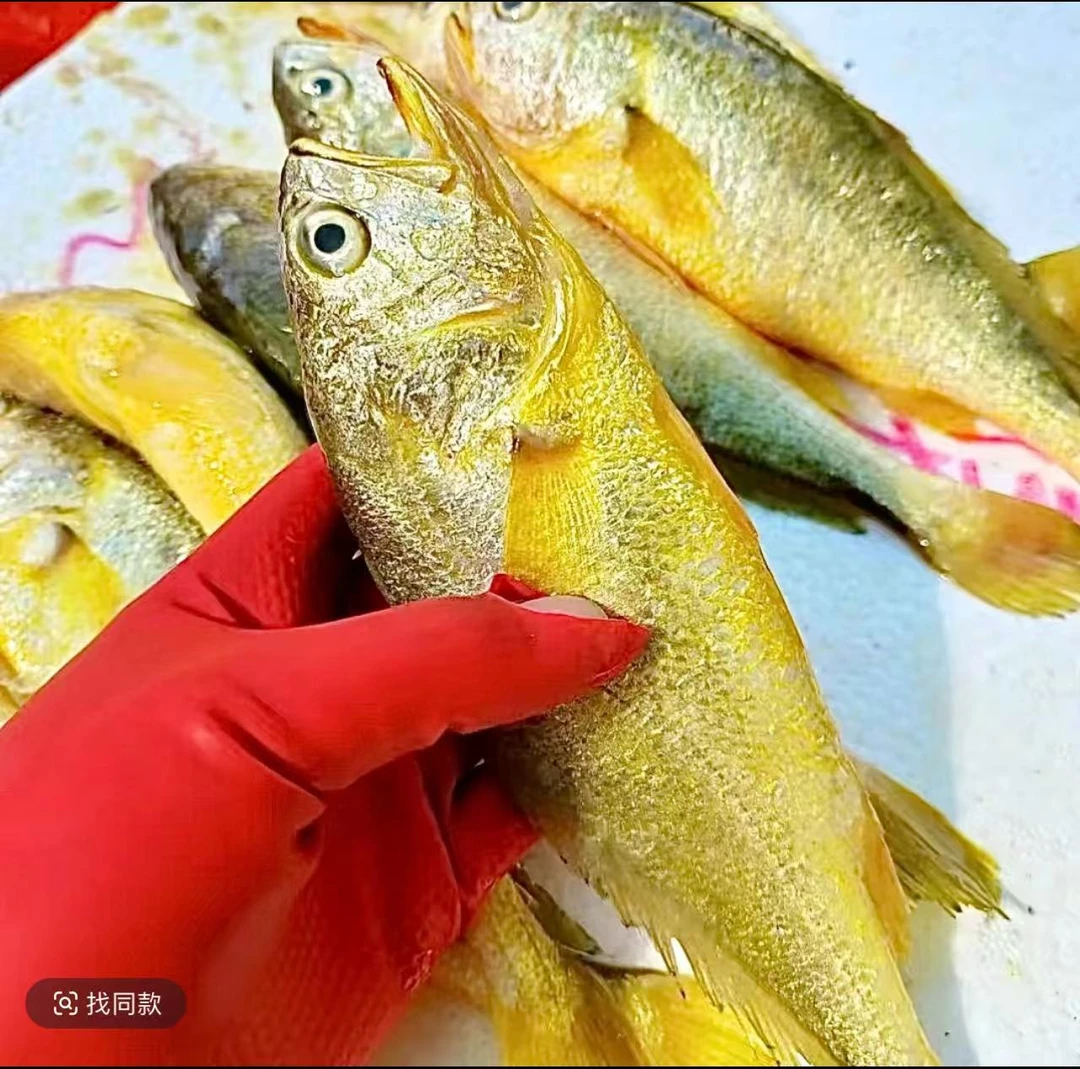 大|小黄花鱼 顺丰京东发货