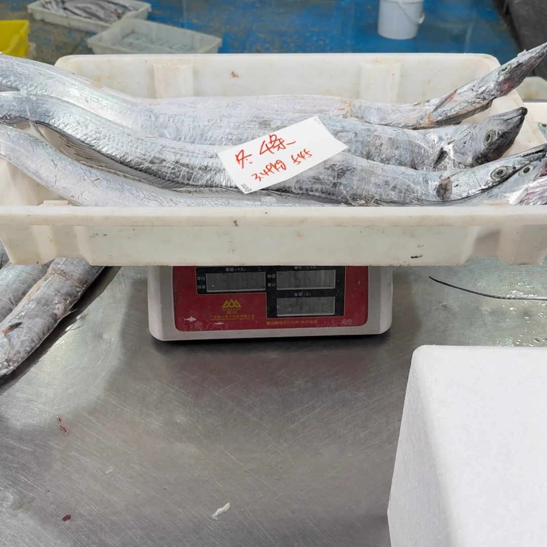 冬***中国大陆4条老鹰带 3.49公斤