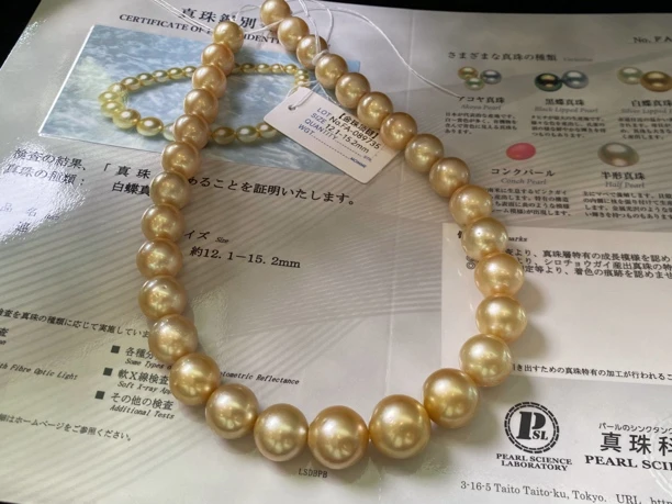 12-15mm南洋金珠项链金色海水珍珠项链大尺寸奢华大气日本真科研