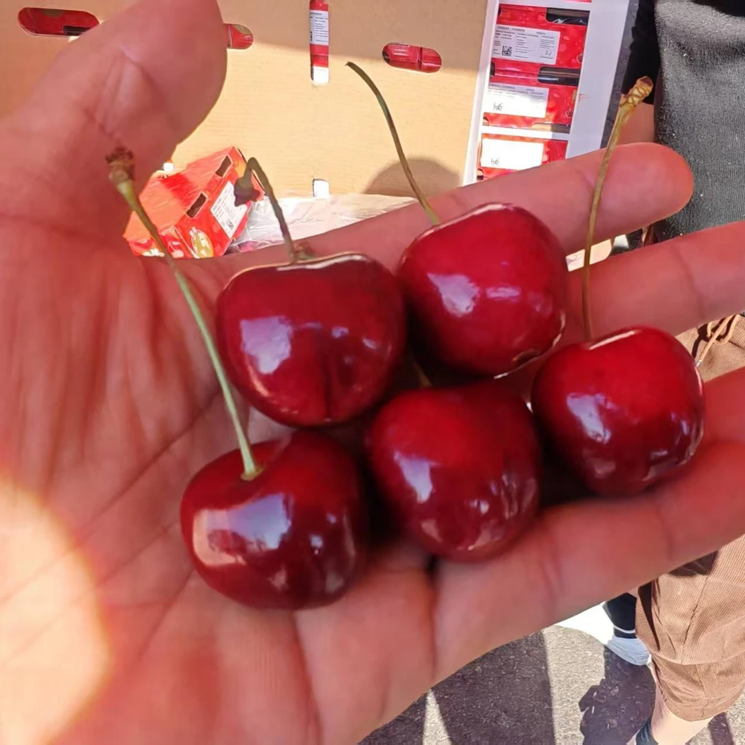 智利车厘子3J有10斤