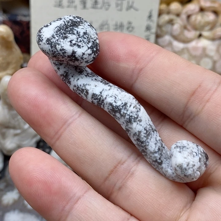 硅化珊瑚（珊瑚玉）未镶嵌颈饰